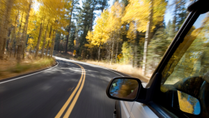 Preventing Fall Driving Accidents