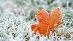 Avoiding Autumn and Winter Slip and Fall Accidents