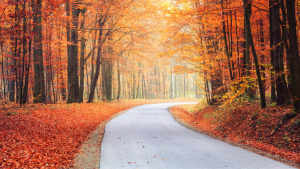The Dangerous Combination That Leads To More Autumn Accidents