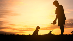 Child dog bite injuries and how to prevent them