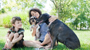 Child Dog Bite Injuries & How to Prevent Them