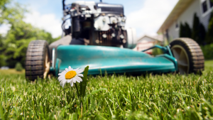 Common Causes of Death That Appear to be Freak Accidents