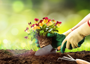 Workplace Injury – Insurance Company Claimed Worker’s Compensation Should Have Covered