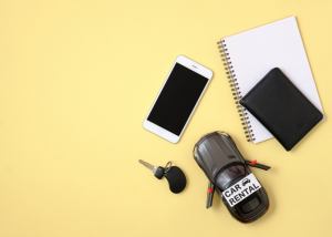 Client Hit by a Rental Car