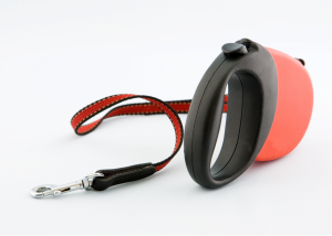 Knocked to the Ground by Off-Leash Dog