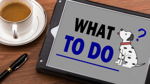 What Should You Do Right After a Dog Bite?