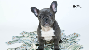 How Much Compensation Can You Expect from a Dog Bite Case?