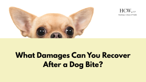 What Damages Can You Recover After a Dog Bite?